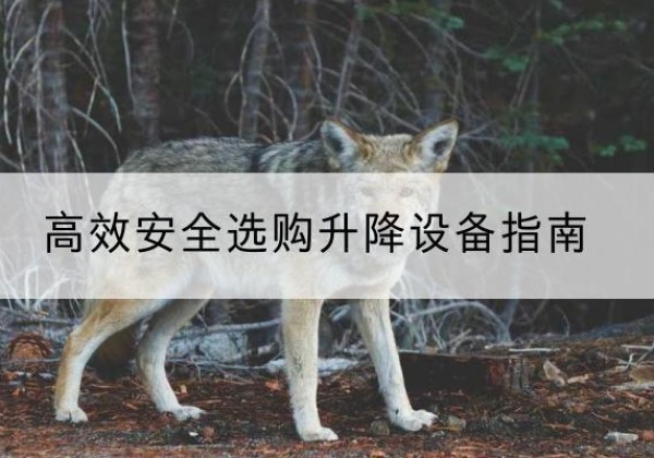 陕州升降货梯厂家推荐-*安全选购升降设备指南