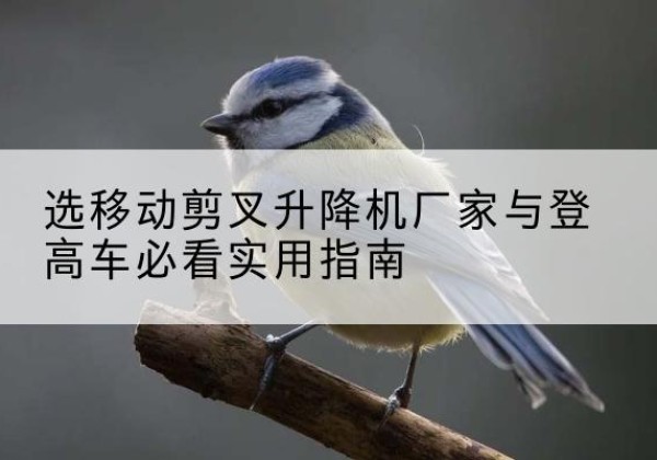 陕州电动升降机厂家-选移动剪叉升降机厂家与登高车必看实用指南